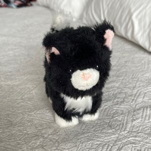 AMERICAN GIRL CAT